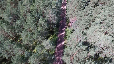 Flight Over The Forest And Gravel Road 2