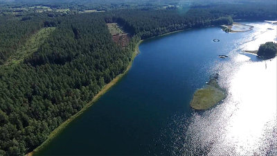 Flight Over The Lake Near Forest 14