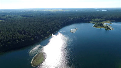 Flight Over The Lake Near Forest 19