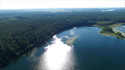 Flight Over The Lake Near Forest 20