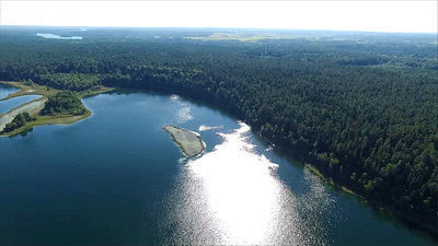 Flight Over The Lake Near Forest 22