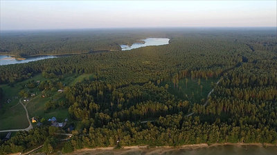 Flight Over The Lake Near Forest 37