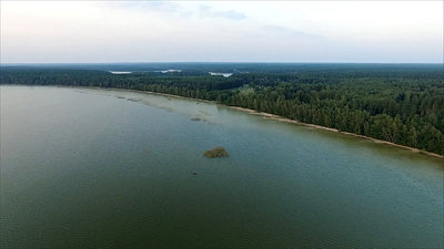 Flight Over The Lake Near Forest 41