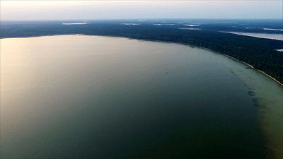 Flight Over The Lake Near Forest 43