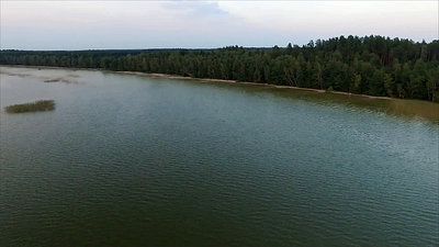 Flight Over The Lake Near Forest 46
